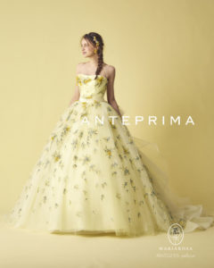 ANTEPRIMA：ミモザプリマ