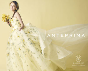 ANTEPRIMA：ミモザプリマ