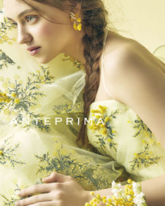 ANTEPRIMA：ミモザプリマ